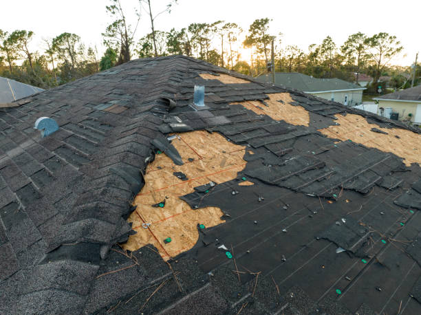 Best Roof Leak Repair  in Speedway, IN